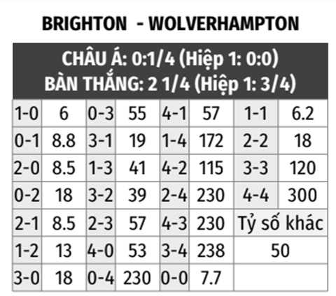 Brighton vs Wolves 