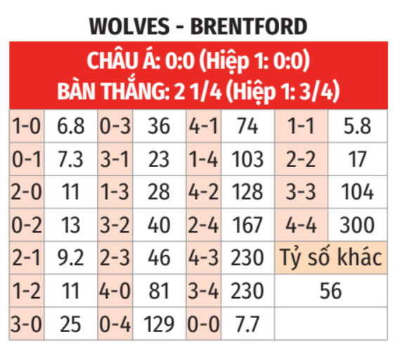  Wolves vs Brentford