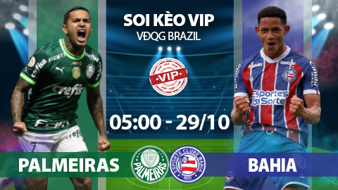 Soi kèo VIP sáng 29/10: Palmeiras vs Bahia