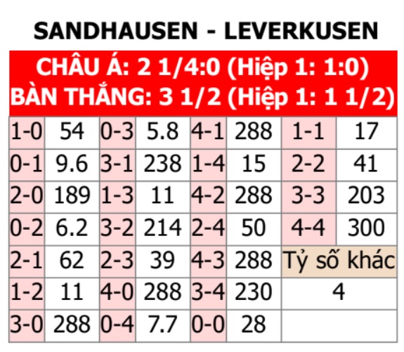 Sandhausen vs Leverkusen