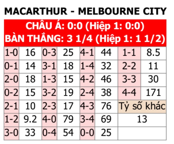 Macarthur vs Melbourne City 